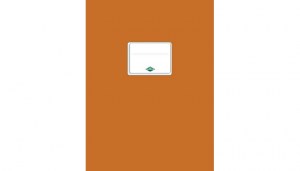 Flex_132230000_Copertina