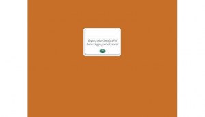 Flex_132600100_Copertina