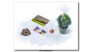 Riplast_v_8004428414397