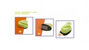 WilerItalia_CPP101